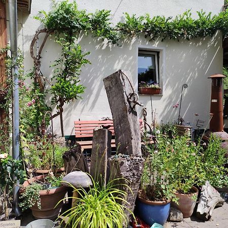 Gartenzimmer Mit Strassenbahn Zu Dom Und Messe Köln Exterior foto