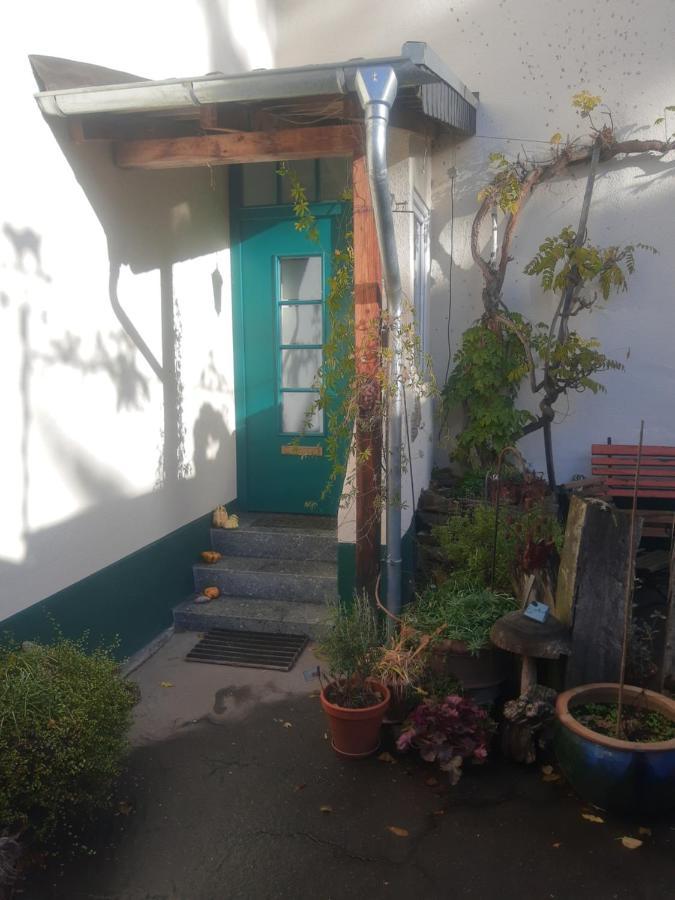 Gartenzimmer Mit Strassenbahn Zu Dom Und Messe Köln Exterior foto
